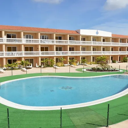 Coqueto En Parque Carolina *