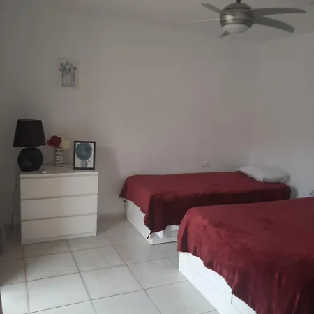 Coqueto En Parque Carolina *