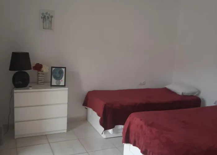 Coqueto En Parque Carolina *